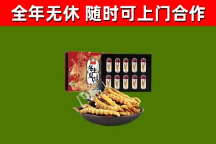 丰林县回收冬虫夏草价格